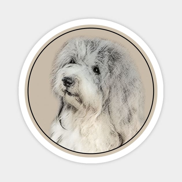 Havanese (Gold Sable) Magnet by Alpen Designs